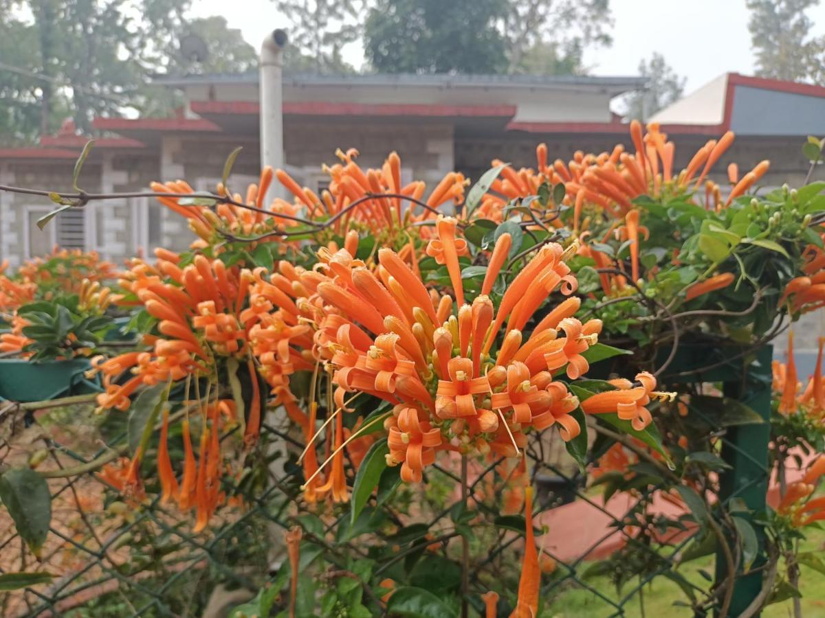 Coorg Kolamotte Hotel Gonikoppal Ngoại thất bức ảnh