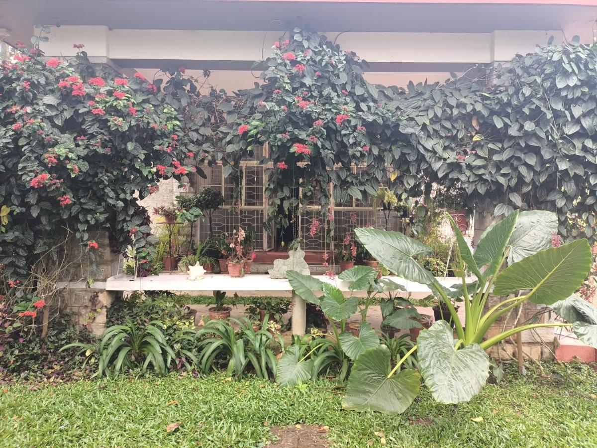 Coorg Kolamotte Hotel Gonikoppal Ngoại thất bức ảnh