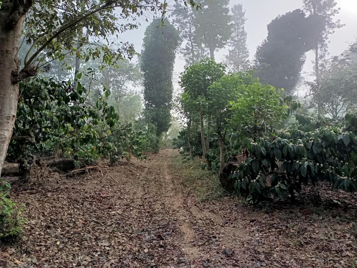Coorg Kolamotte Hotel Gonikoppal Ngoại thất bức ảnh
